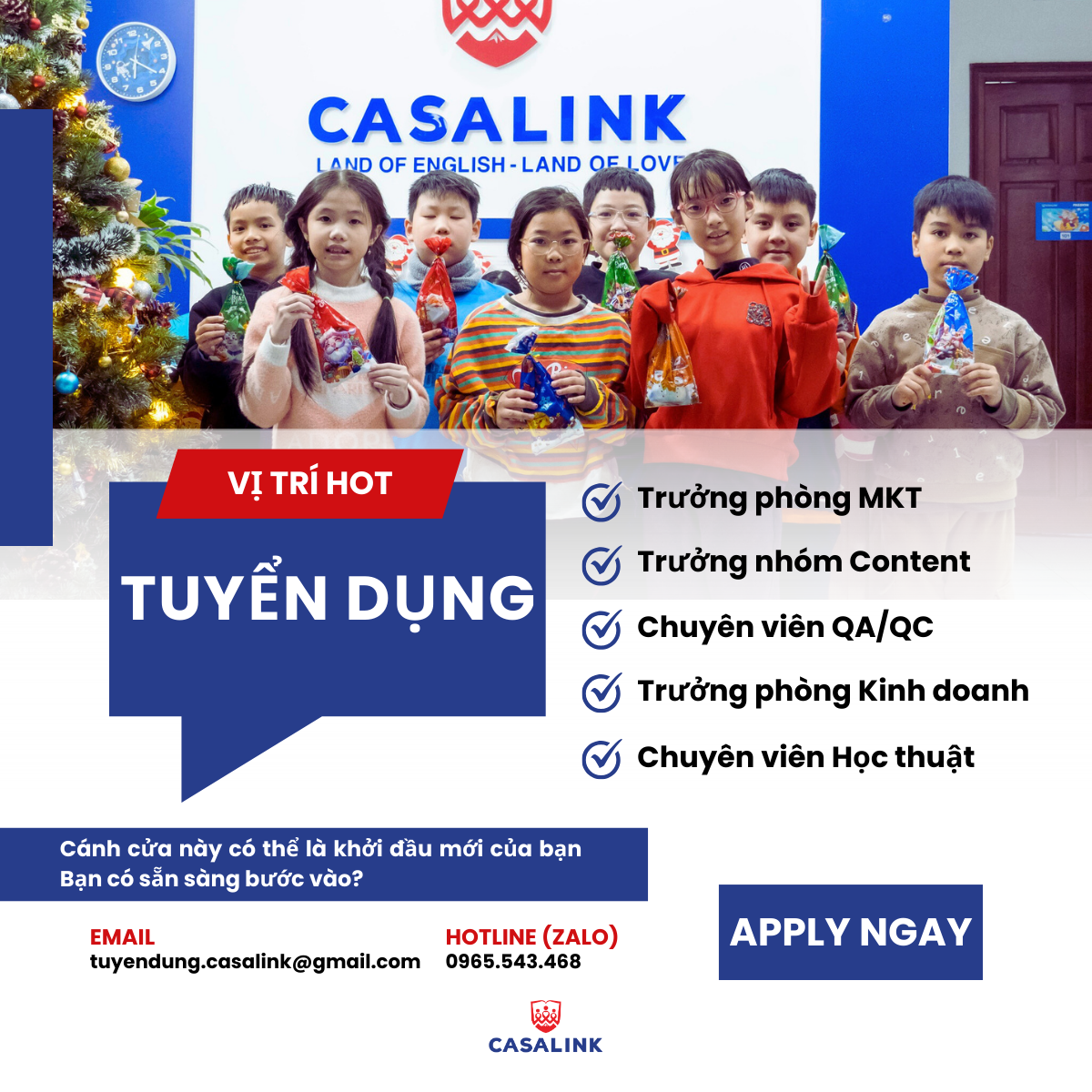 lĩnh vực hoạt động